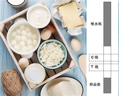 乳品專(zhuān)用氯霉素檢測(cè)試紙條